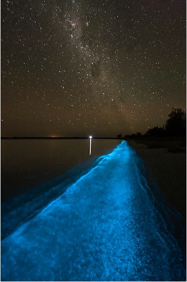 The Amazing Sea of Stars