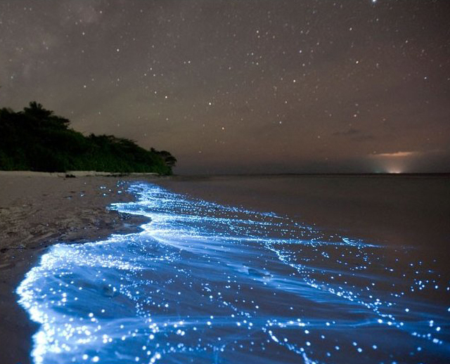 The Amazing Sea of Stars