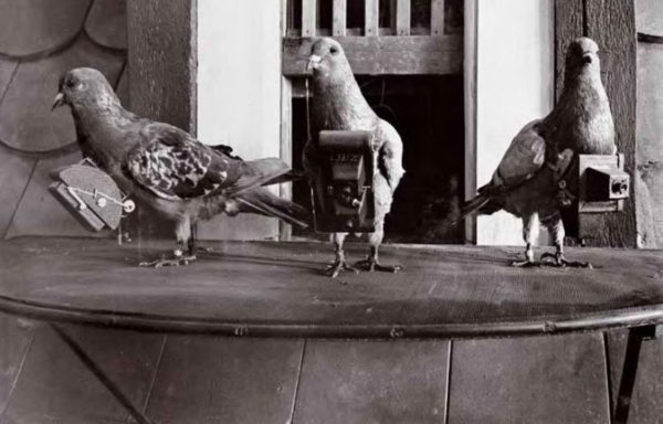 Before Google Earth: Camera Pigeons c. 1908