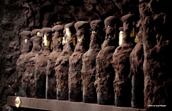 Wine after 100 Years in a Cellar