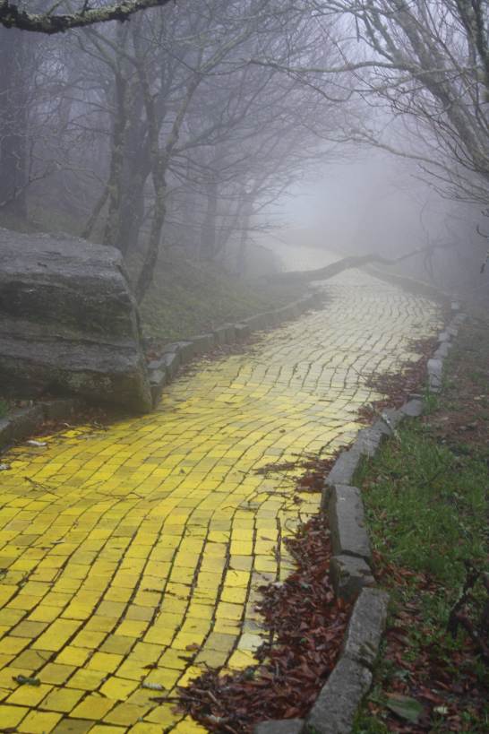 Follow the Yellow Brick Road to the Abandoned Land of Oz