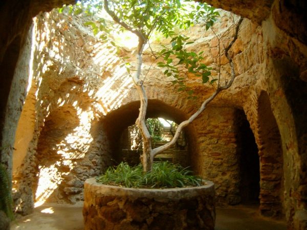 California’s Best Kept Secret: A Century old Subterranean Garden