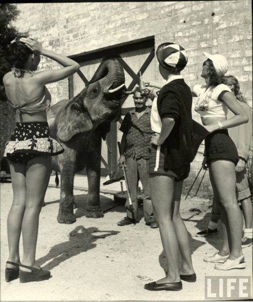 The Circus Girls, 1949