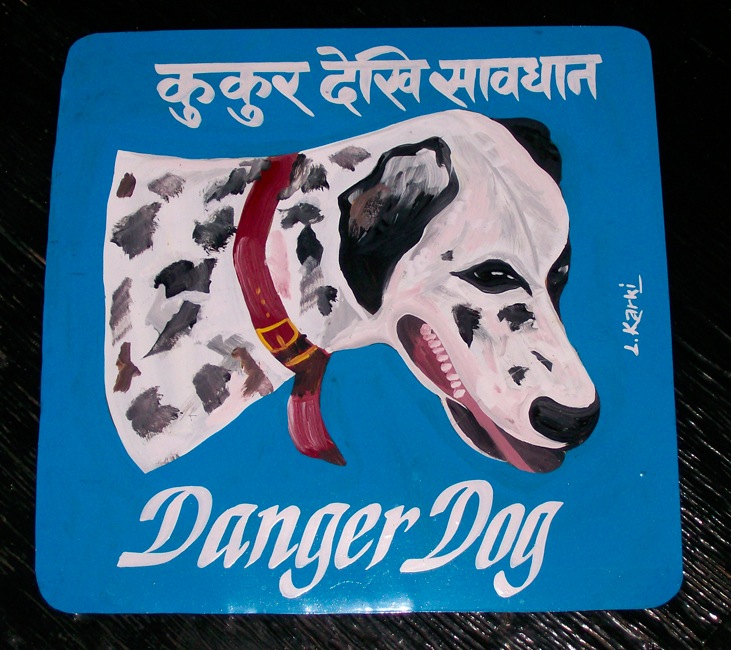 dangerdog11