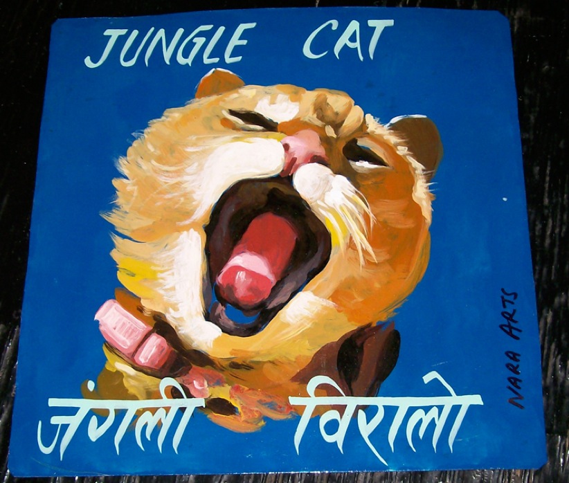 nepalcat