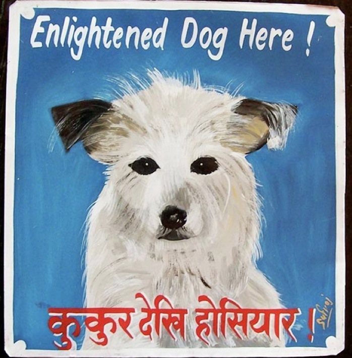 nepaldog10