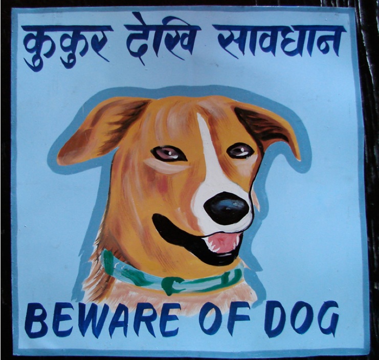 nepaldog4