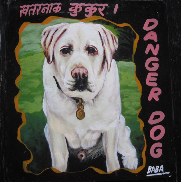 nepaldog8