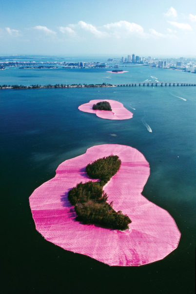 Giant Pink Lily Pads & other Epic Projects
