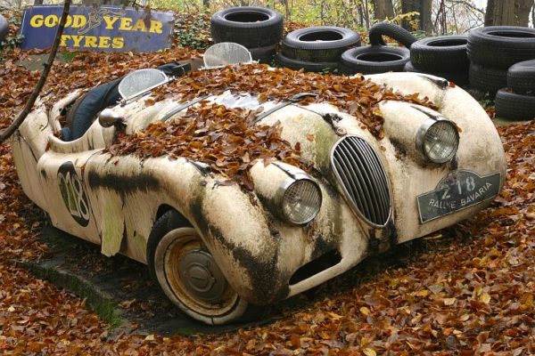 The Vintage Supercars Rotting away in a Forest (and that’s how the owner wants it)