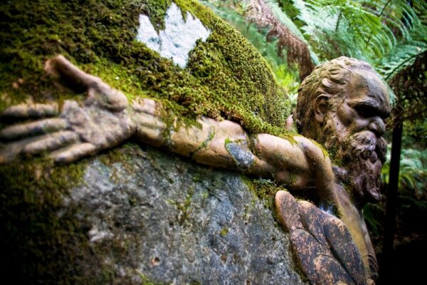 The Mythical Indigenous Australians Guarding their Rainforest