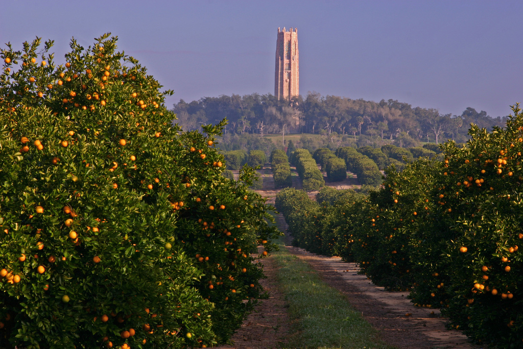 boktower3