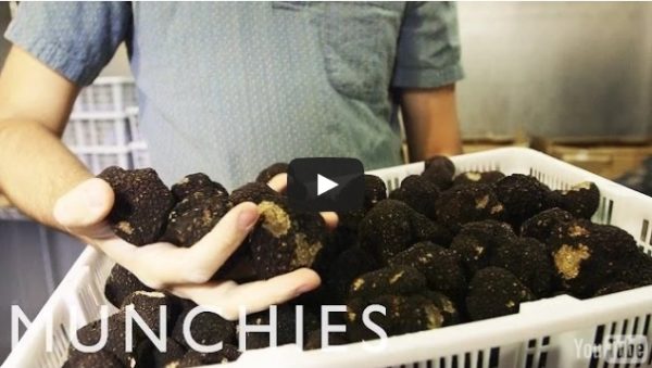 Meet NYC’s Youngest Truffle Dealer