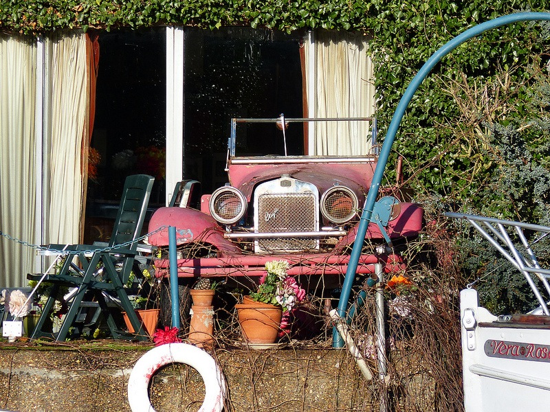 Car in garden 1