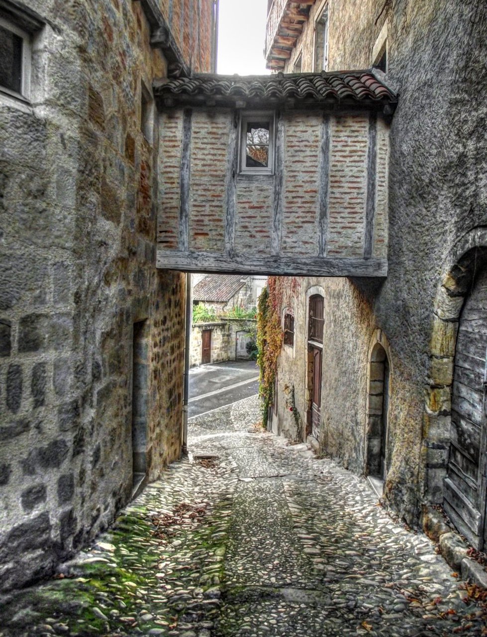 ruelle