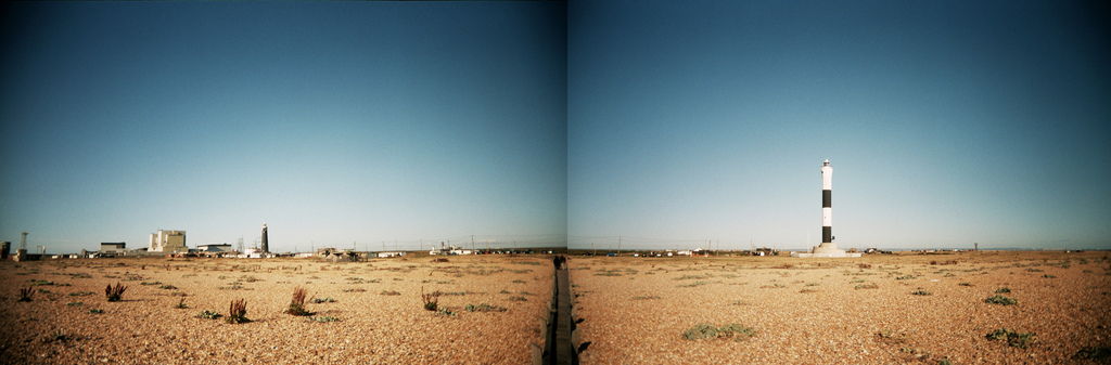 Dungeness3
