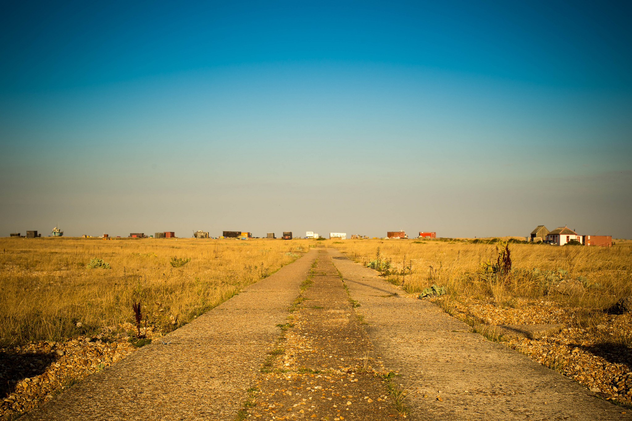 dungeness10