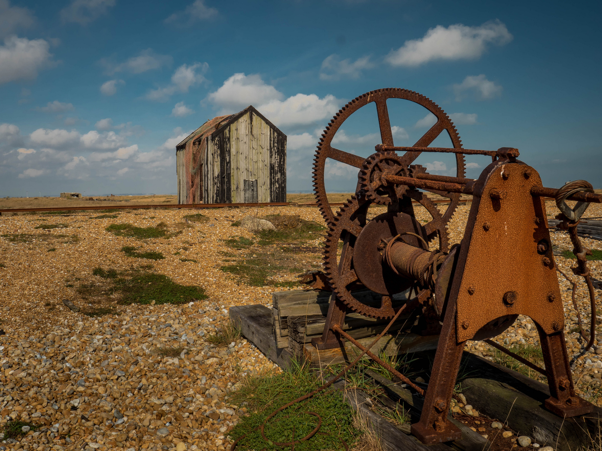 dungeness5