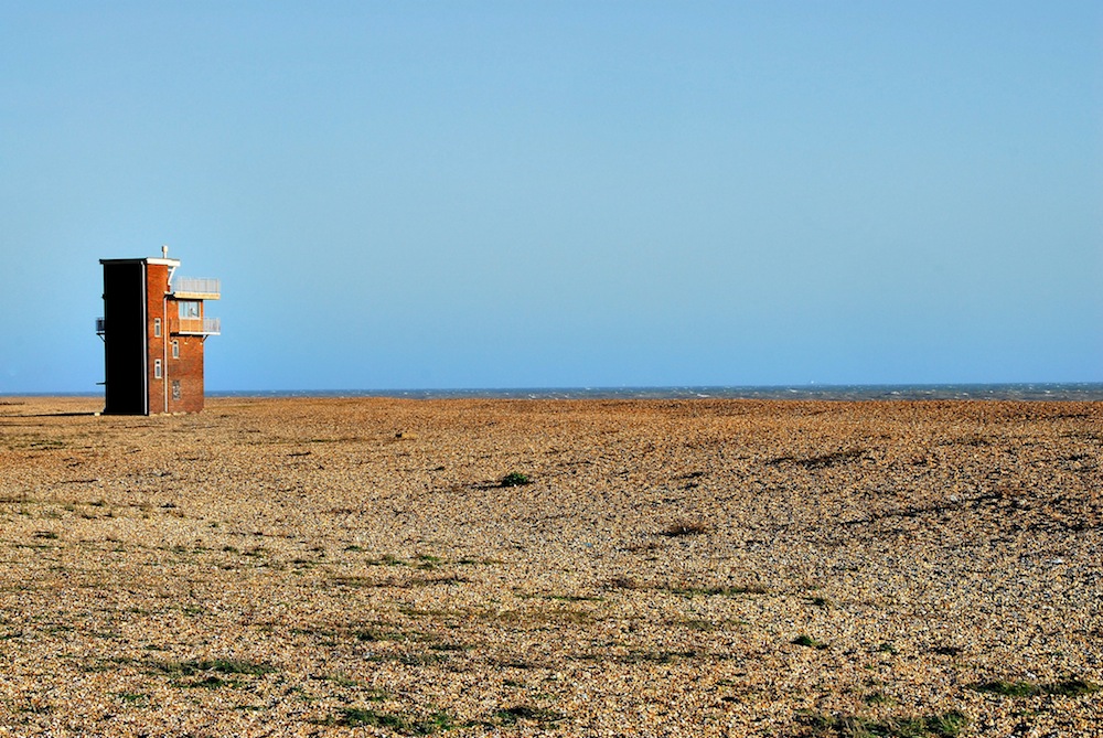 dungeness6