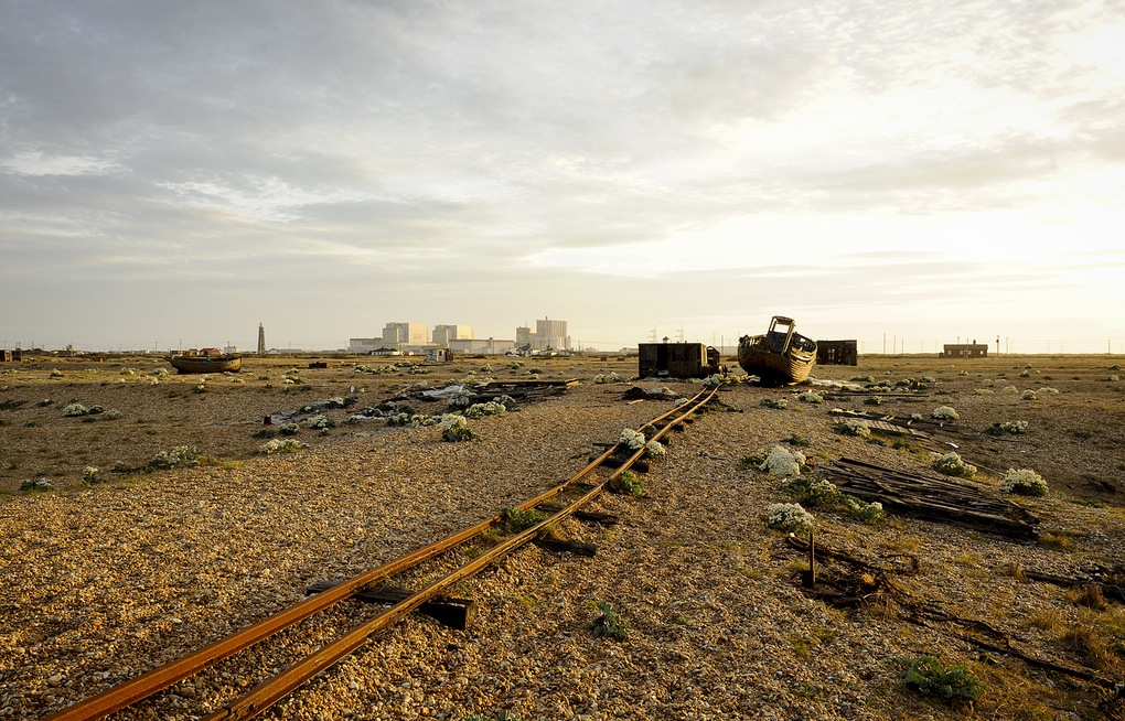 dungeness8