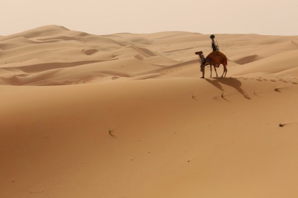 The Google Street View Images being Collected by a Camel