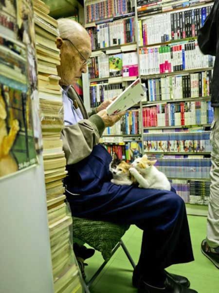The Little Bookshop that Takes in Homeless Cats