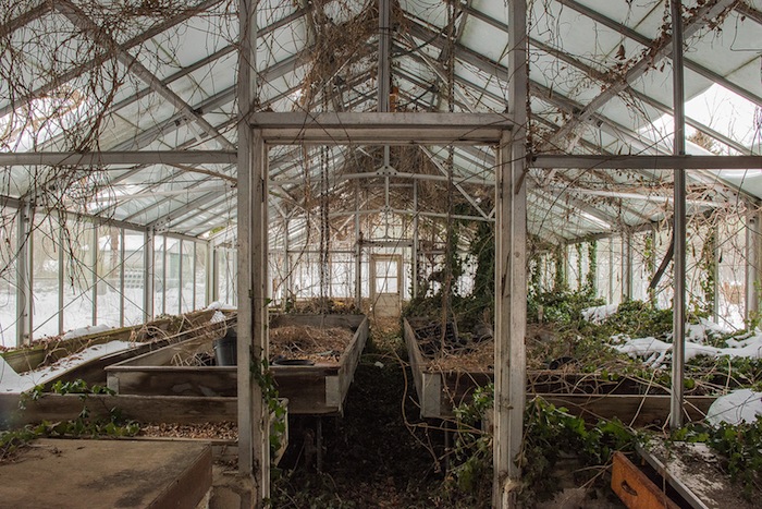 greenhouse1