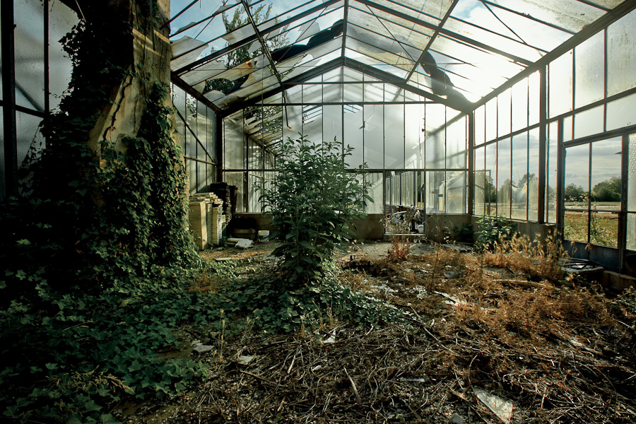 greenhouse7