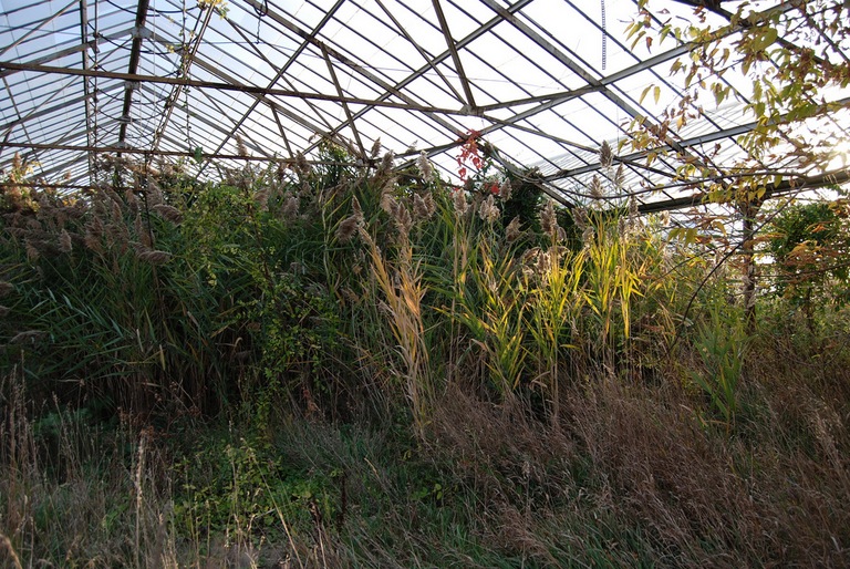 ohiogreenhouse