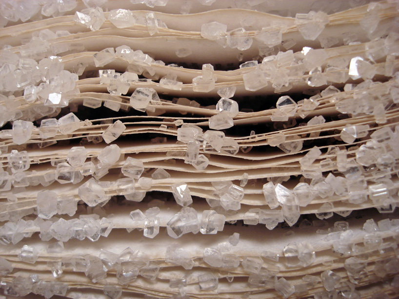 alexis-arnold-crystallized-books-designboom-10