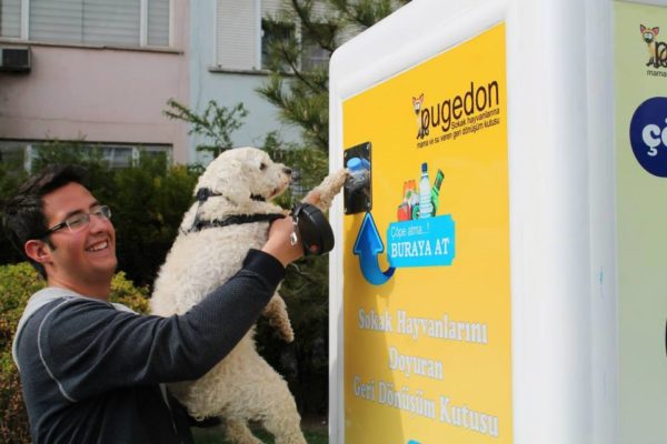 These Vending Machines for Stray Animals Should Be in Every City Around the World