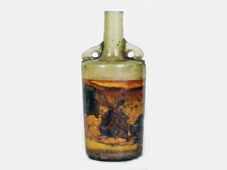 winebottleoldest