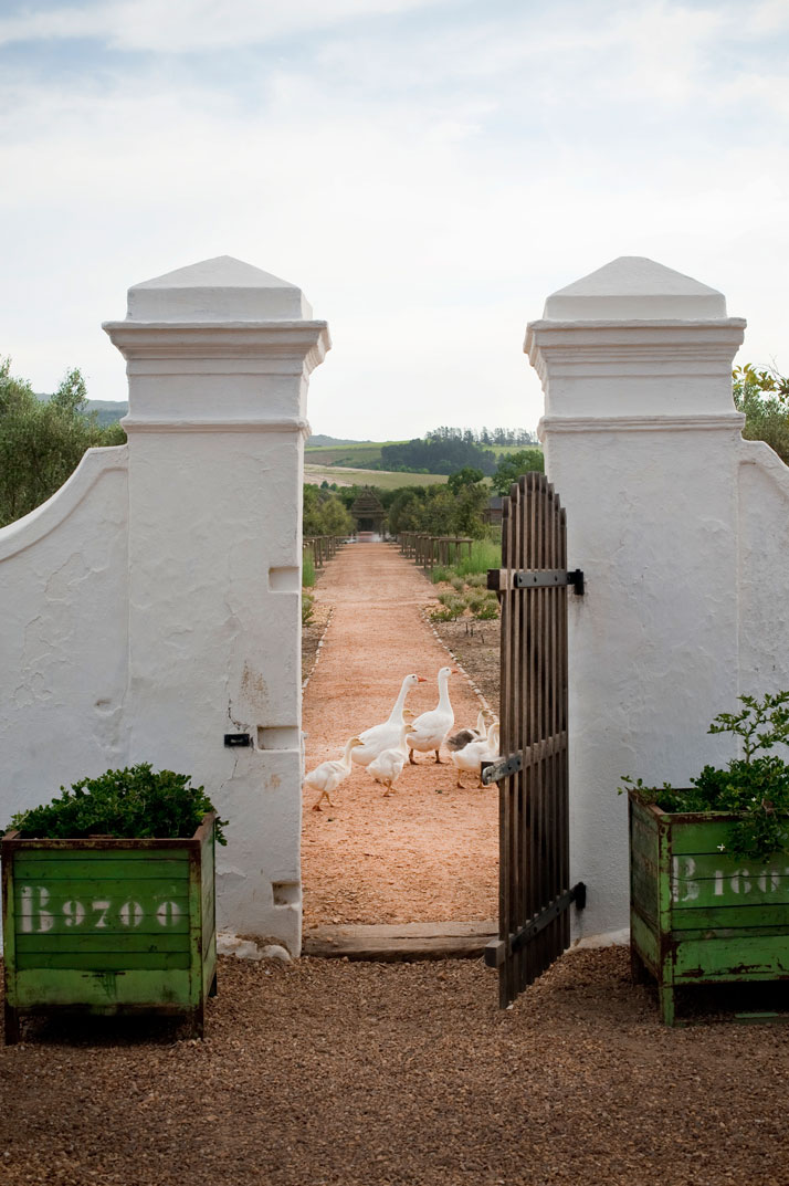 babylonstoren