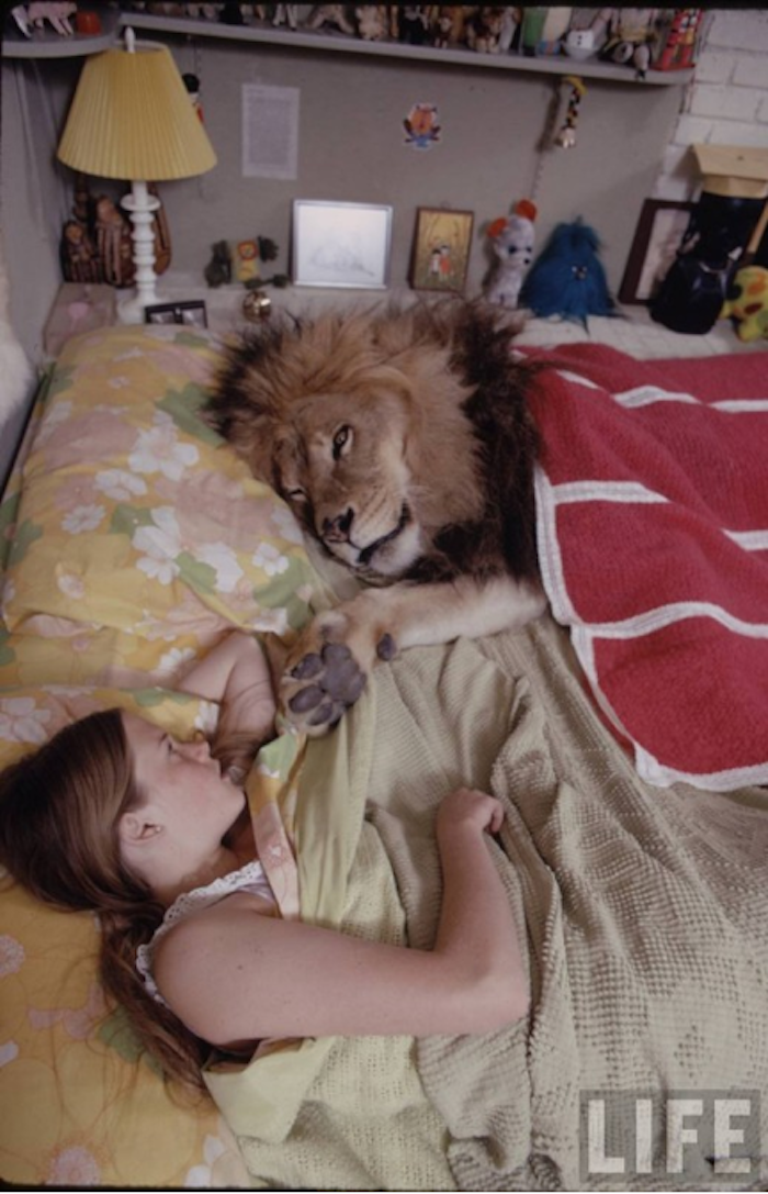 No Animals were Harmed in the Making of this Film, 70 People Were. No Animals were Harmed in the Making of this Film, 70 People Were.