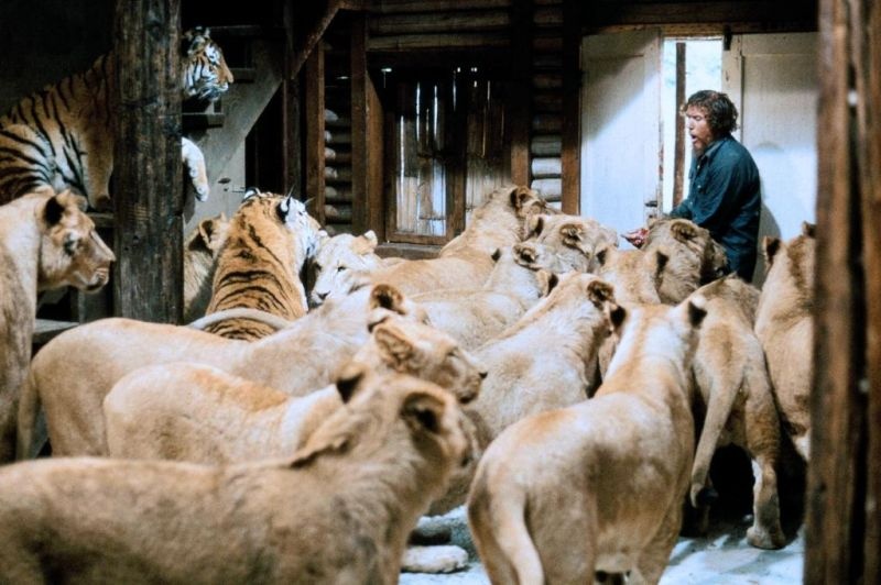 No Animals were Harmed in the Making of this Film, 70 People Were. No Animals were Harmed in the Making of this Film, 70 People Were.