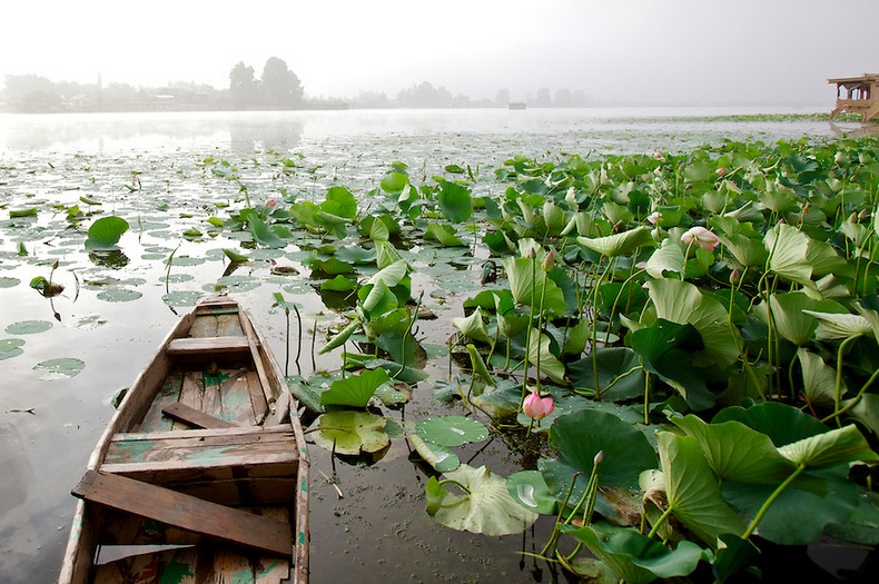 kashmirlake