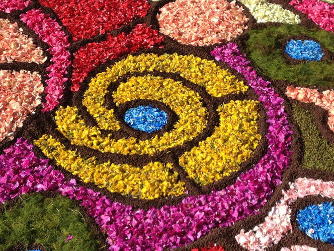 Infiorata-di-genzano-11bis