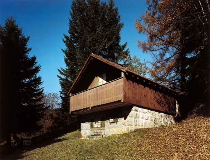 fakechalet4