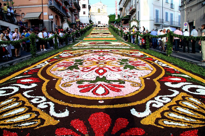 flowercarpet2