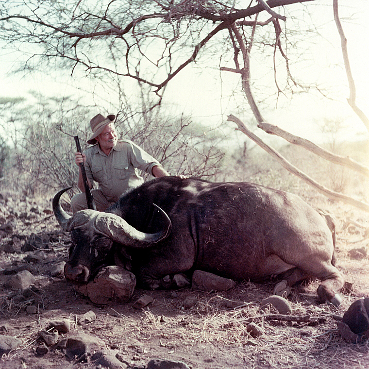 EH 266T Ernest Hemingway poses with a water buffalo in Africa, 1953-1954. Photograph in the Ernest Hemingway Photograph Collection, John F. Kennedy Presidential Library, Boston.