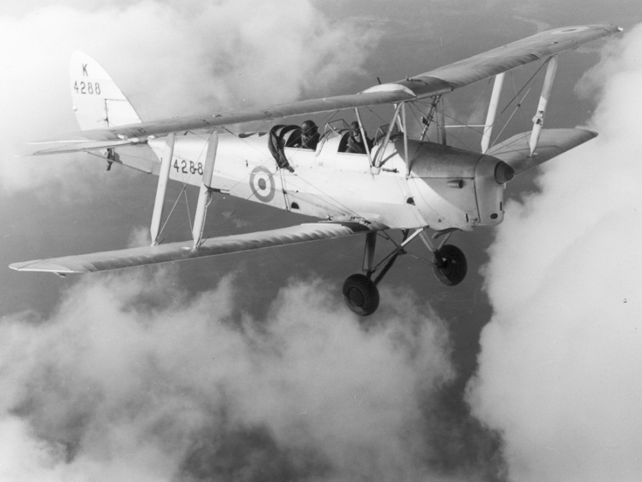 Tiger Moth