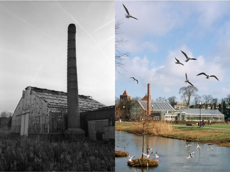 amsterdamgreenhousebeforeafter