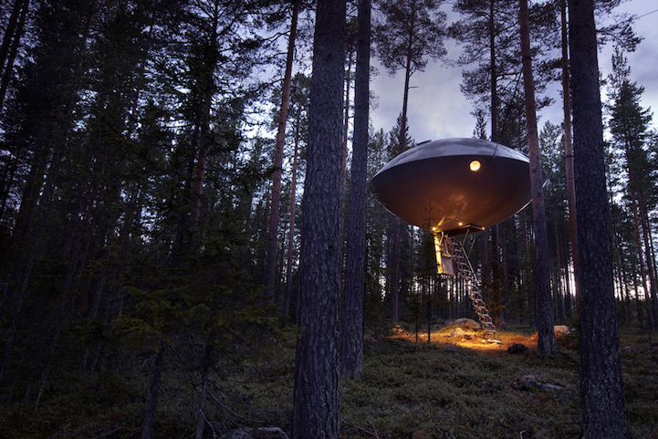 treehotel1