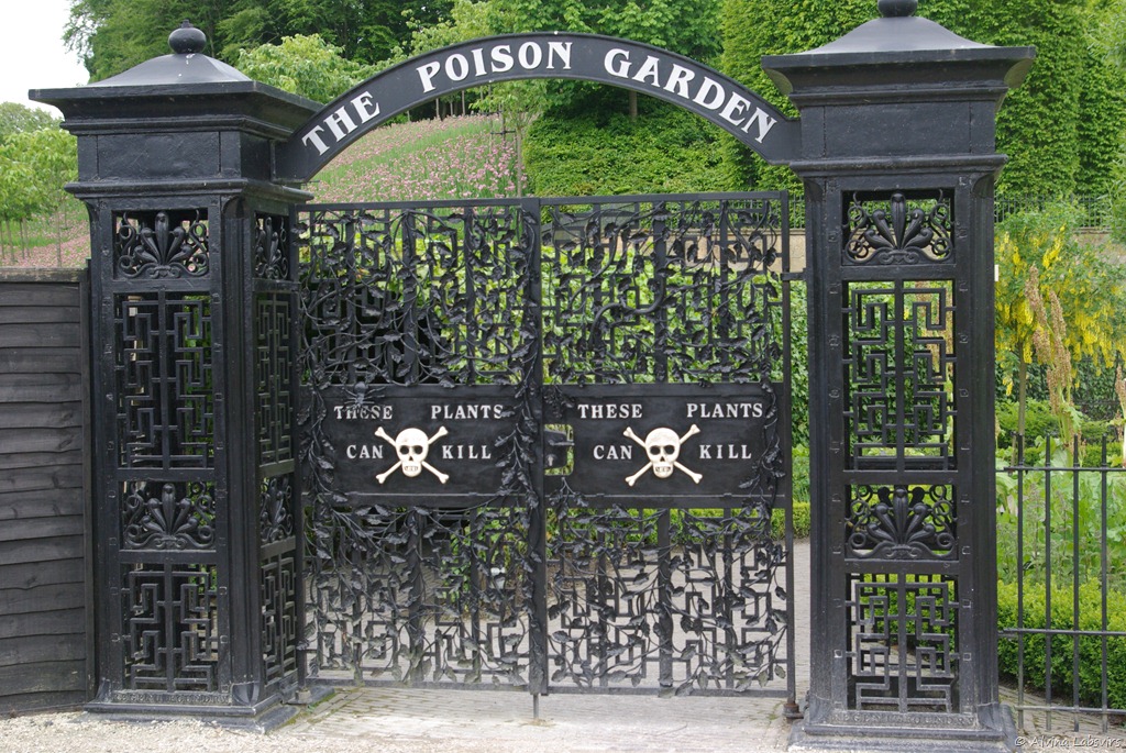 alnwick-garden-poiison-gates-gardenista