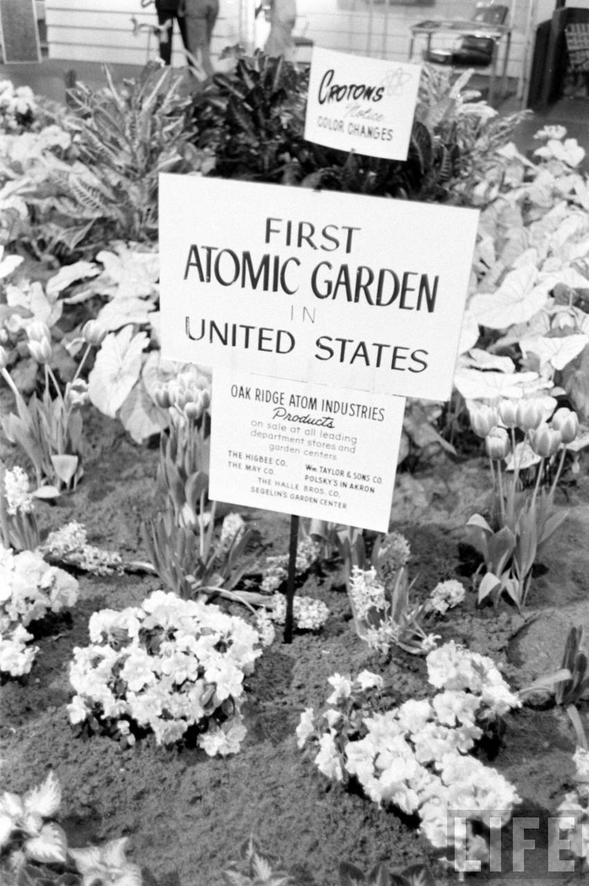 atomicgarden1