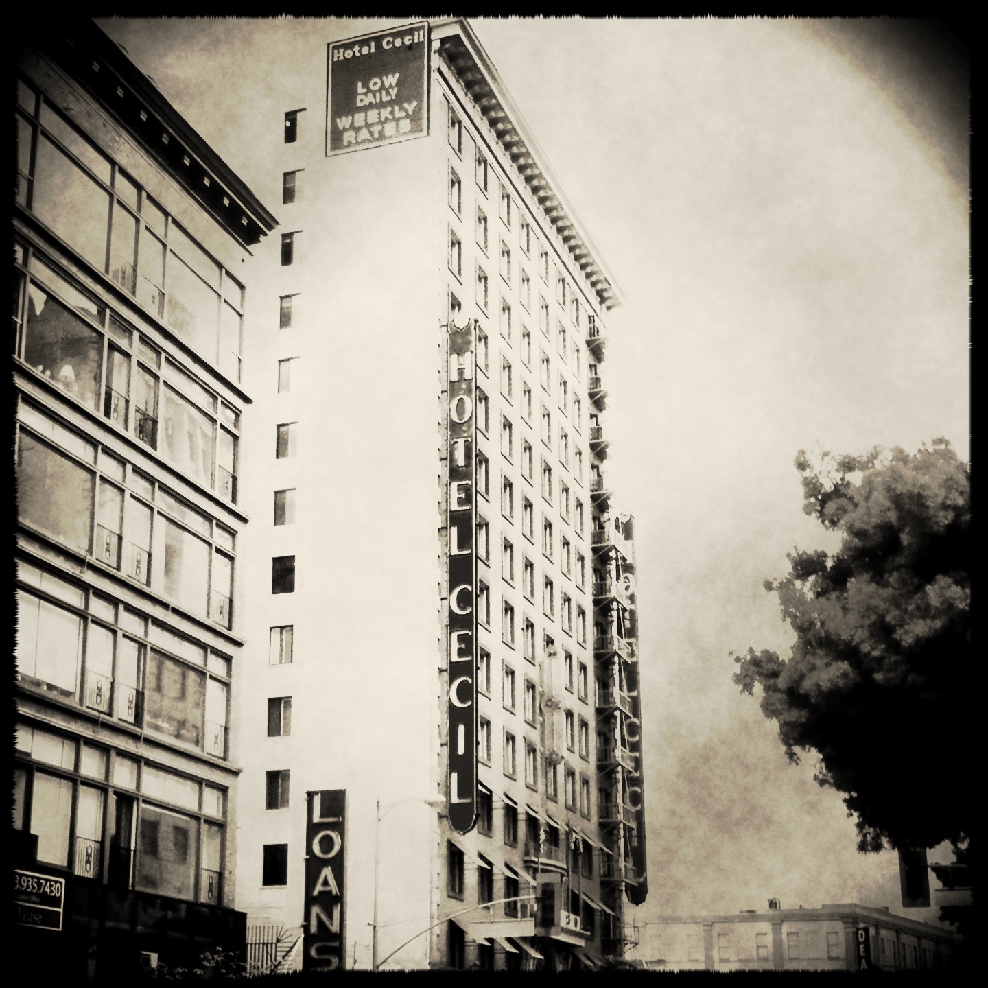 hotelcecilhistory