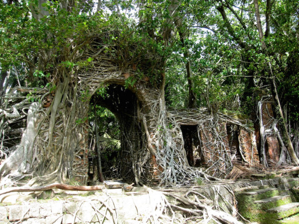 Buried by Nature: The Dark Colonial Past of Jungle Book Island