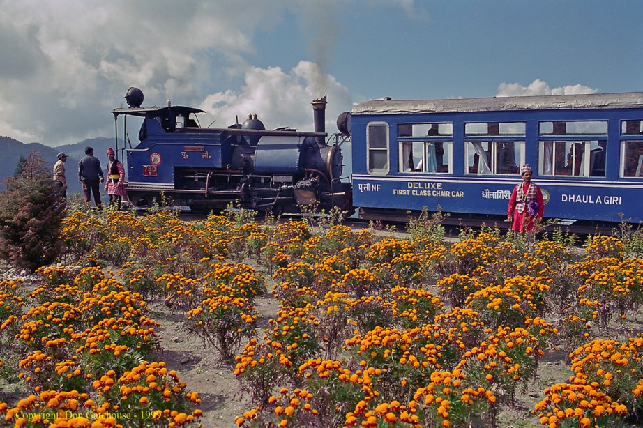 darjeeling limited train