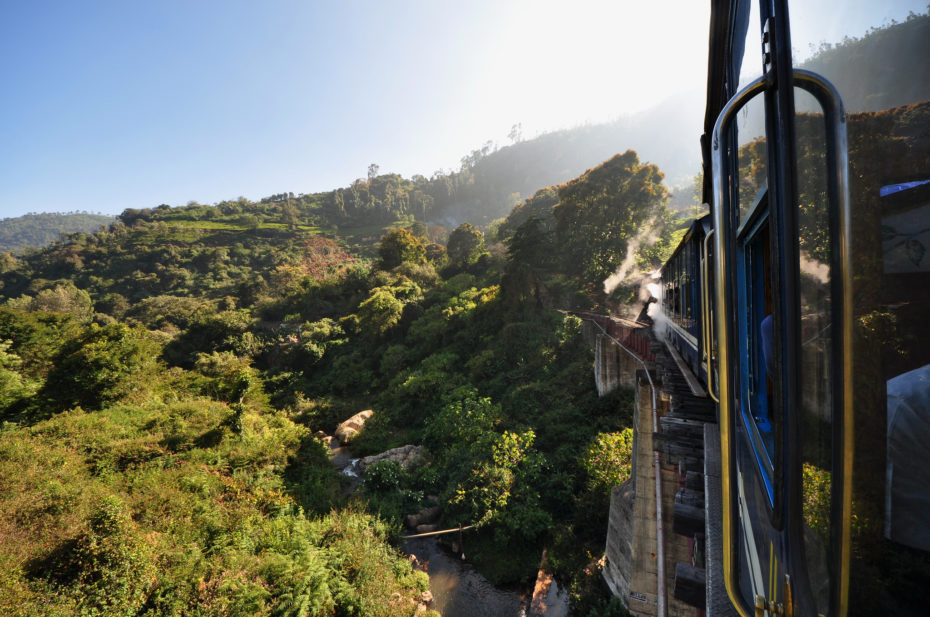 darjeelingtop