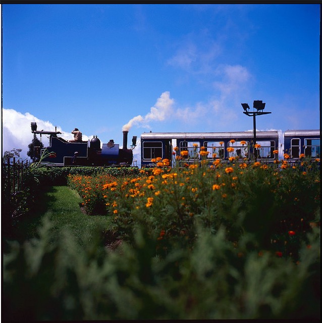 darjeelingtrainride